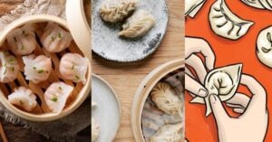 Best Dumpling Cookbook