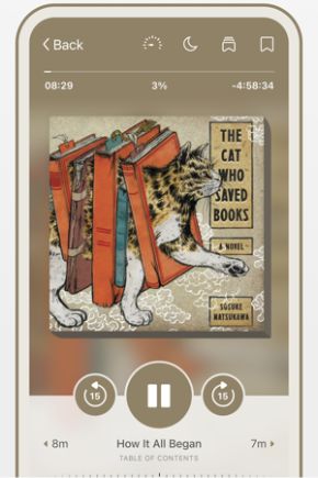 Audiobook Apps for iPhone Libby